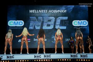 WELLNESS НОВИЧКИ